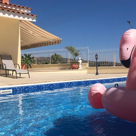 Peyia Palm Villa Paphos Eksteriør billede