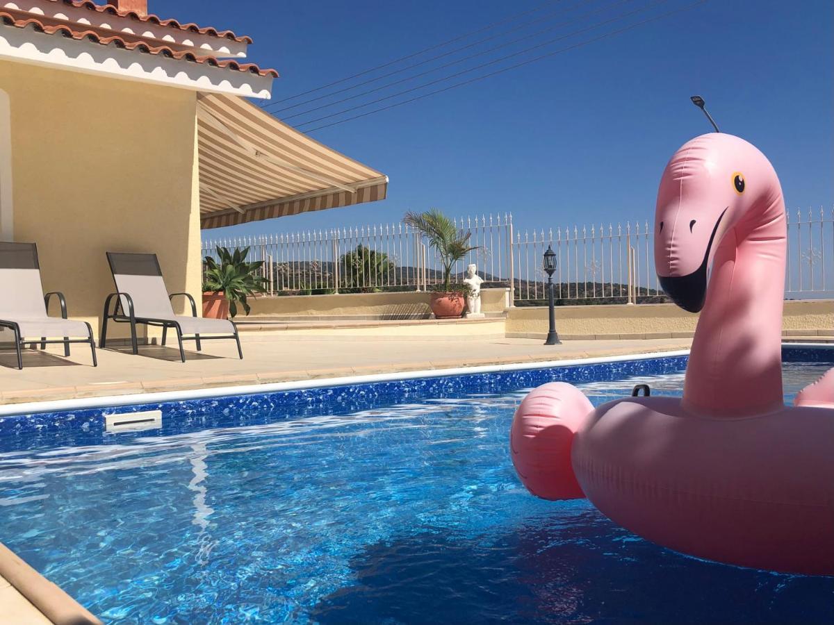 Peyia Palm Villa Paphos Eksteriør billede